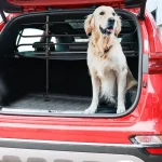 Universal Heavy Duty Fully Adjustable Dog Guard