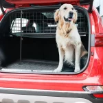 Heavy Duty Mesh Dog Guard
